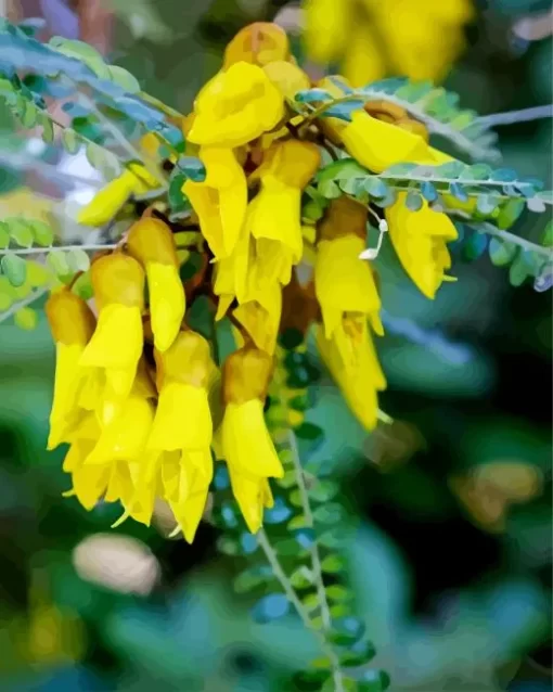 Kowhai Diamond Painting