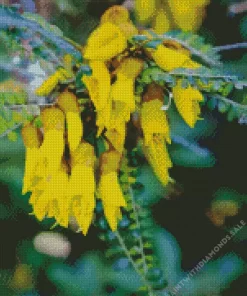 Kowhai Diamond Painting