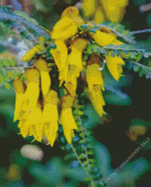 Kowhai Diamond Painting