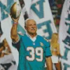 Larry Csonka Diamond Painting