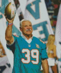 Larry Csonka Diamond Painting