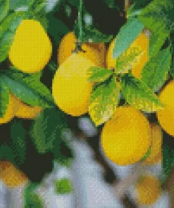 Lemon Plant Diamond Painting