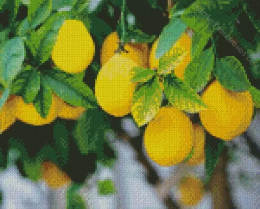 Lemon Plant Diamond Painting