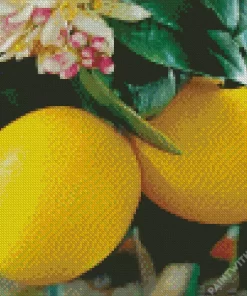 Lemon Plant Diamond Painting