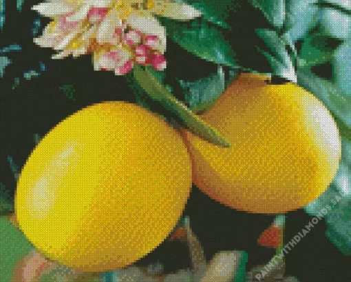 Lemon Plant Diamond Painting