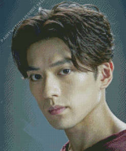 Mackenyu Maeda Diamond Painting