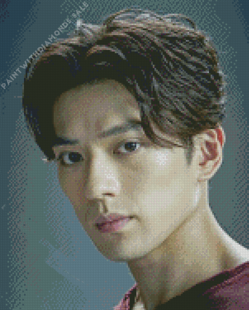 Mackenyu Maeda Diamond Painting