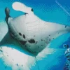 Manta Rays Diamond Painting