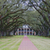 Oak Alley Plantation Art Diamond Painting