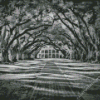 Oak Alley Plantation Diamond Painting