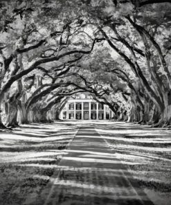 Oak Alley Plantation Diamond Painting