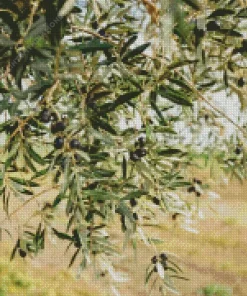 Olive Branch Diamond Painting