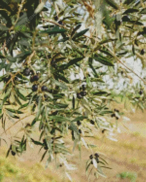 Olive Branch Diamond Painting