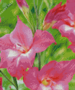 Pink Gladiolus Art Diamond Painting