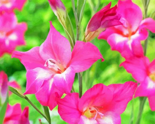 Pink Gladiolus Art Diamond Painting