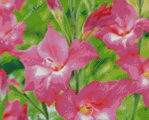 Pink Gladiolus Art Diamond Painting