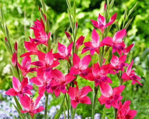 Pink Gladiolus Diamond Painting