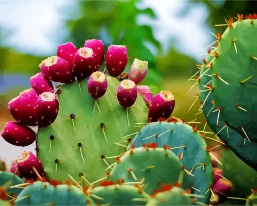 Prickly Pear Diamond Painting