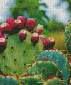 Prickly Pear Diamond Painting