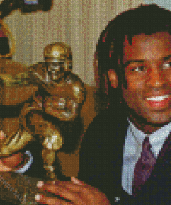 Ricky Williams Diamond Painting