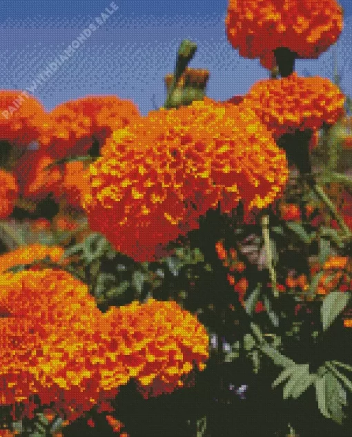 Tagetes Erecta Diamond Painting