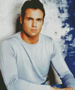 The Actor Michael Shanks Diamond Painting