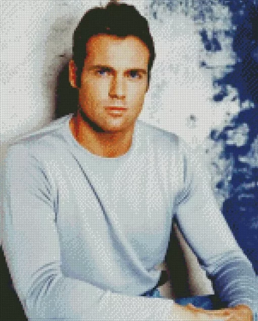 The Actor Michael Shanks Diamond Painting