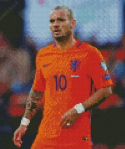 Wesley Sneijder Diamond Painting