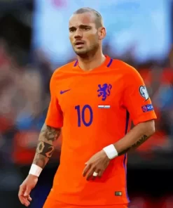 Wesley Sneijder Diamond Painting