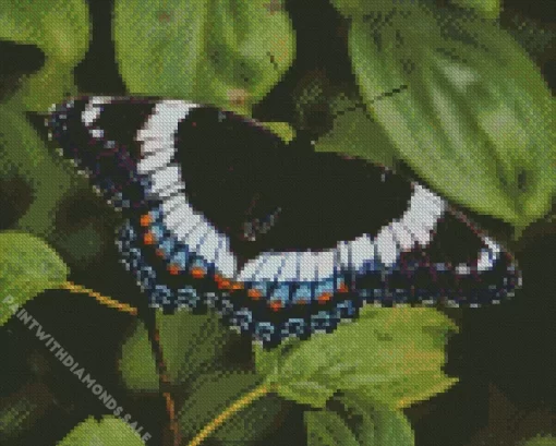 White Admiral Diamond Painting