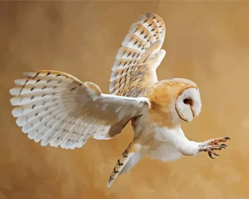 Aesthetic Barn Owl Diamond Painting