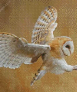 Aesthetic Barn Owl Diamond Painting