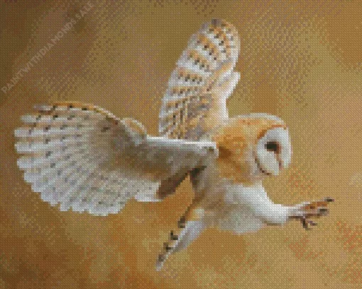 Aesthetic Barn Owl Diamond Painting