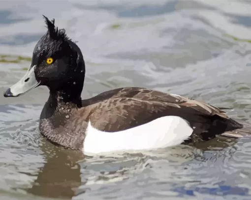 Aesthetic Tufted Duck Diamond Painting