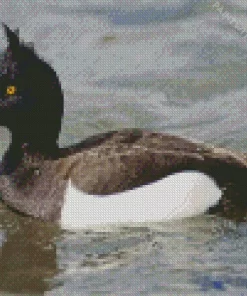 Aesthetic Tufted Duck Diamond Painting