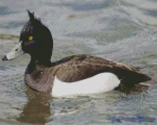 Aesthetic Tufted Duck Diamond Painting