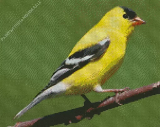 Aesthetic American Goldfinch Diamond Painting