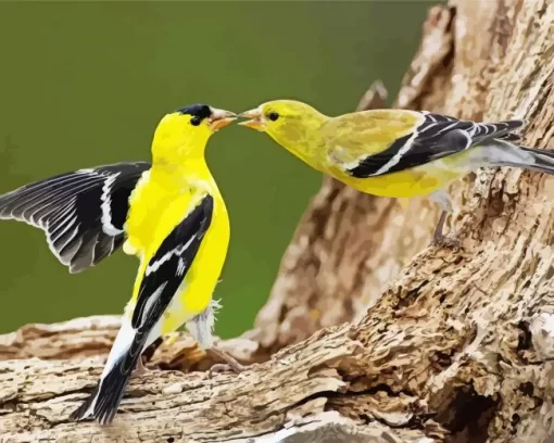 American Goldfinch Couple Diamond Painting