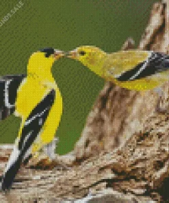 American Goldfinch Couple Diamond Painting