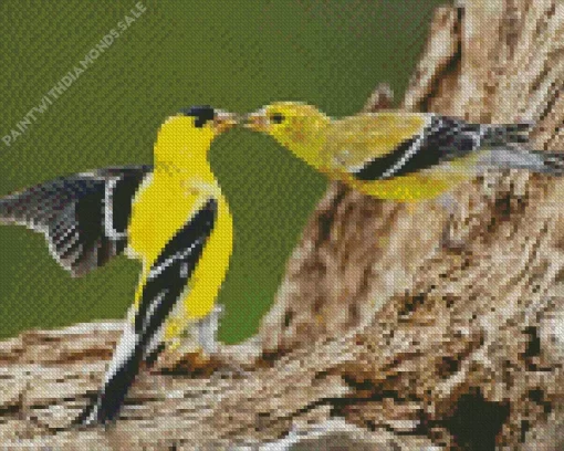 American Goldfinch Couple Diamond Painting