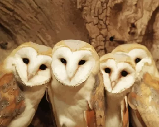 Barn Owl Family Diamond Painting