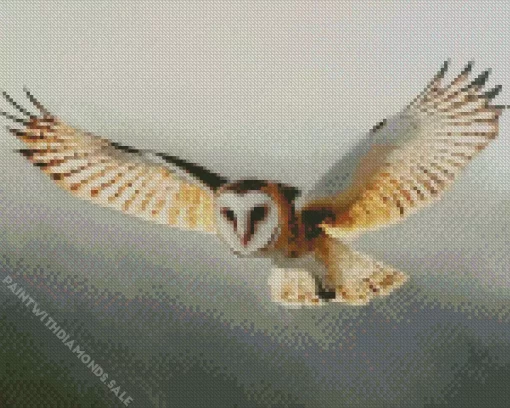 Barn Owl Flying Diamond Painting