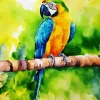 Blue And Gold Macaw Art Diamond Painting