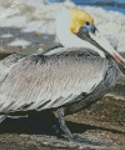 Brown Pelican Diamond Painting