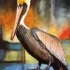 Brown Pelican Art Diamond Painting