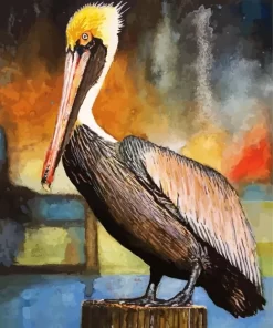 Brown Pelican Art Diamond Painting