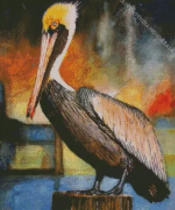 Brown Pelican Art Diamond Painting