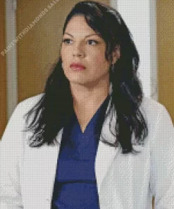 Callie Torres Diamond Painting