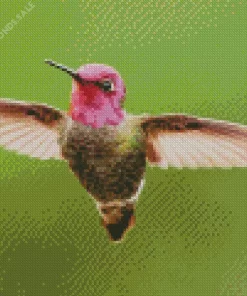 Calliope Hummingbird Diamond Painting