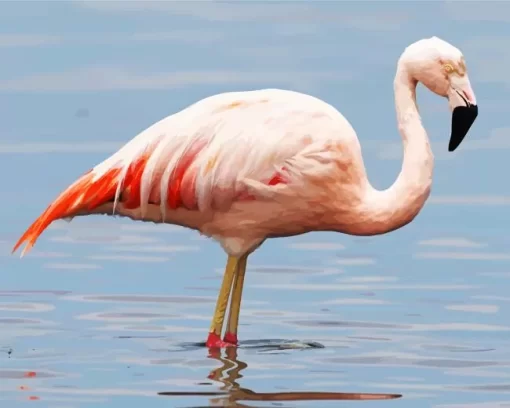 Chilean Flamingo Diamond Painting